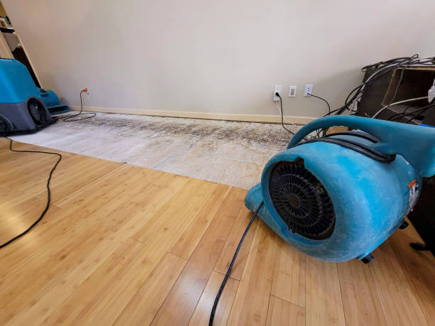 Professional Water Damage Repair technician working in San Carlos, TX